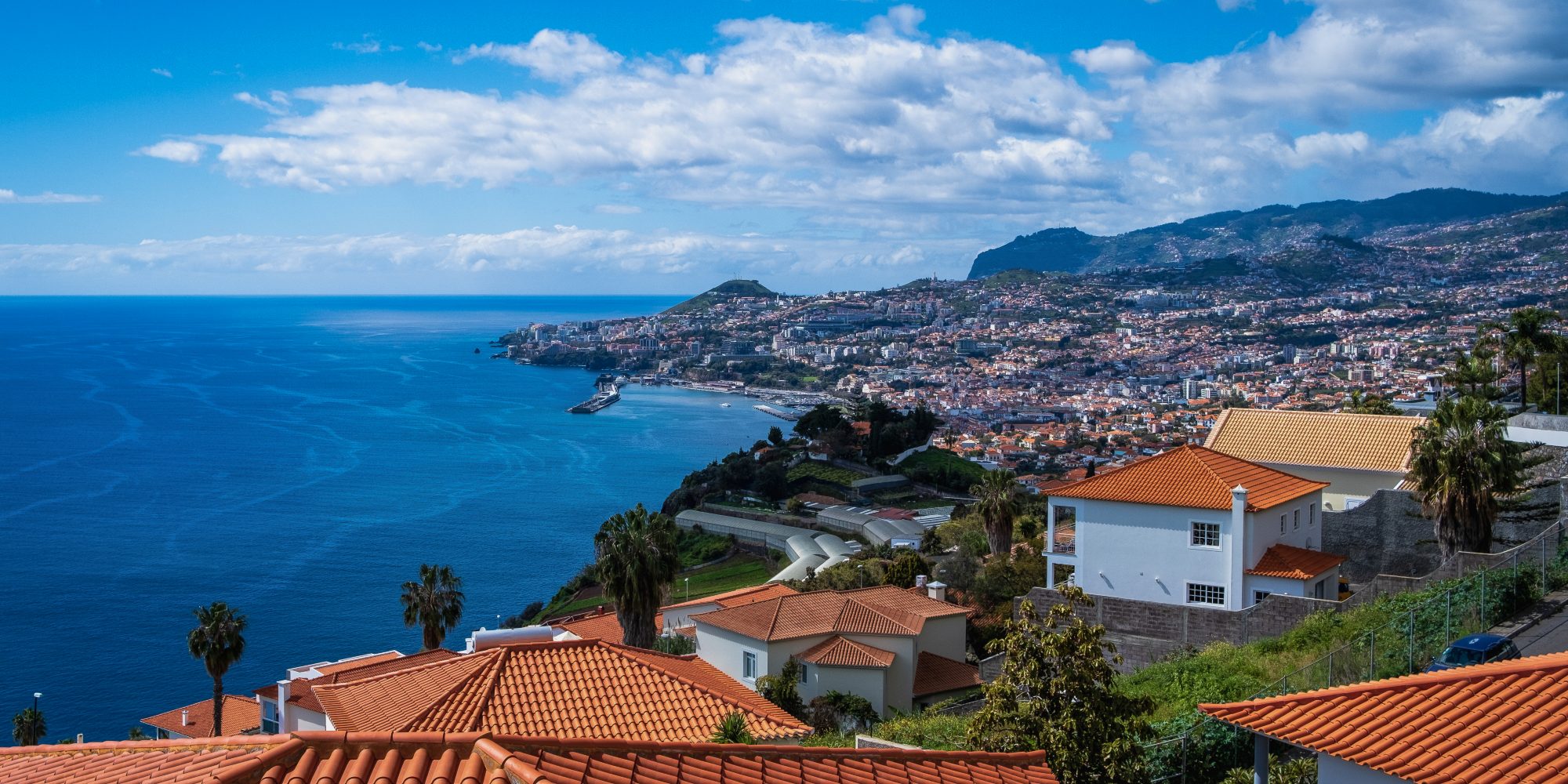 Vista of Funchal and the Atlantic from the viewpoint.jpg